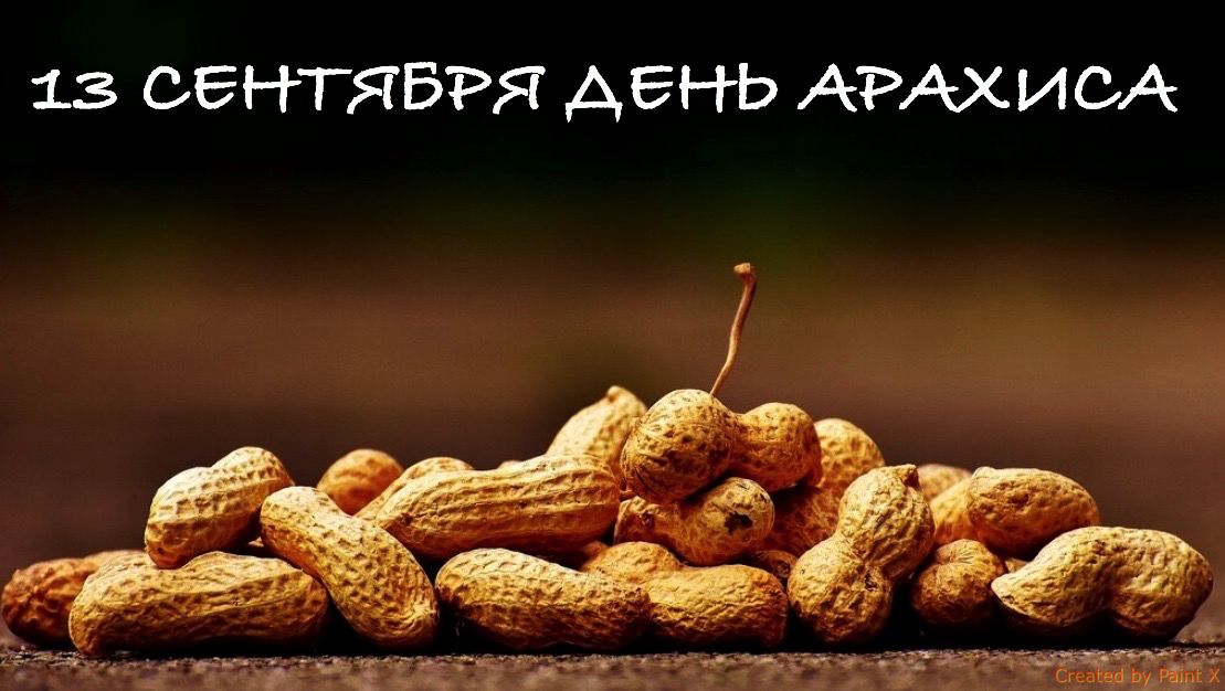Празднование Всемирного дня арахиса: новые рецепты и полезные свойства