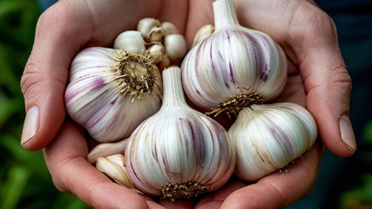 ��� ��������� ������ ������ � ��������� �� ������ ����: ������ � ������