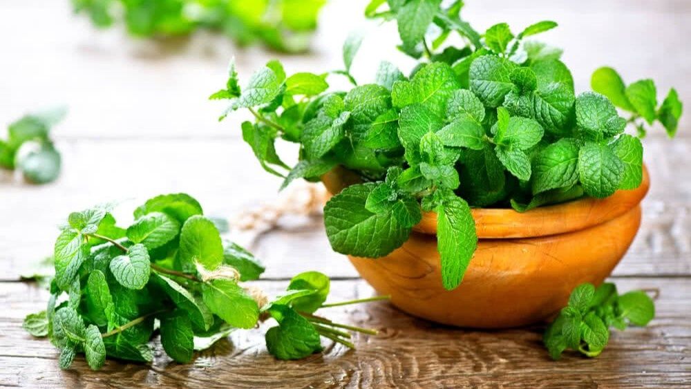 ������������ ����: ��� ��� ����� �������� ���� ��������������