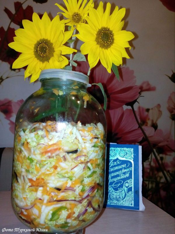 �� �������, ���� � ����: ������������ ��������� ������� � ��������� �������