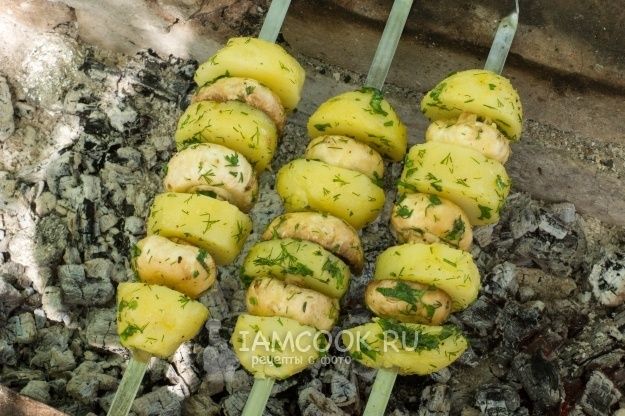 ������, ������� ��� ����� ���� ������: ������� � ���������