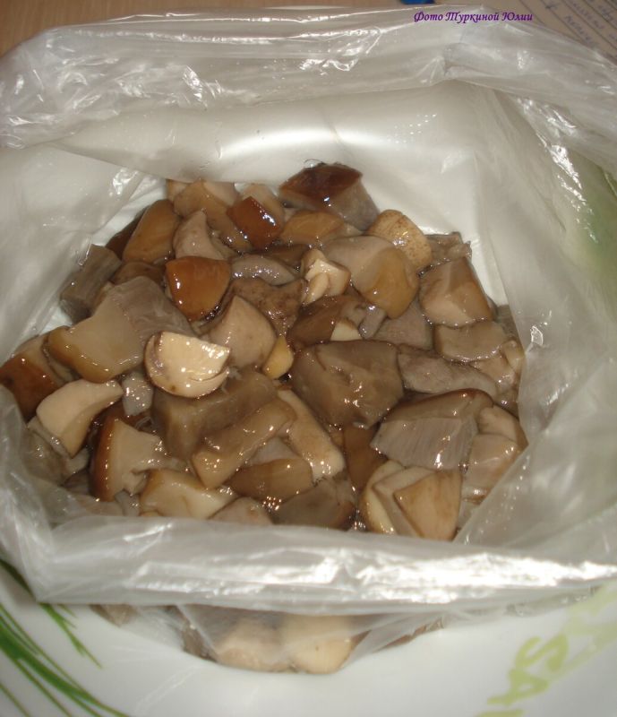 ��� ��������� ������� ������: ������� ��������� �� ����