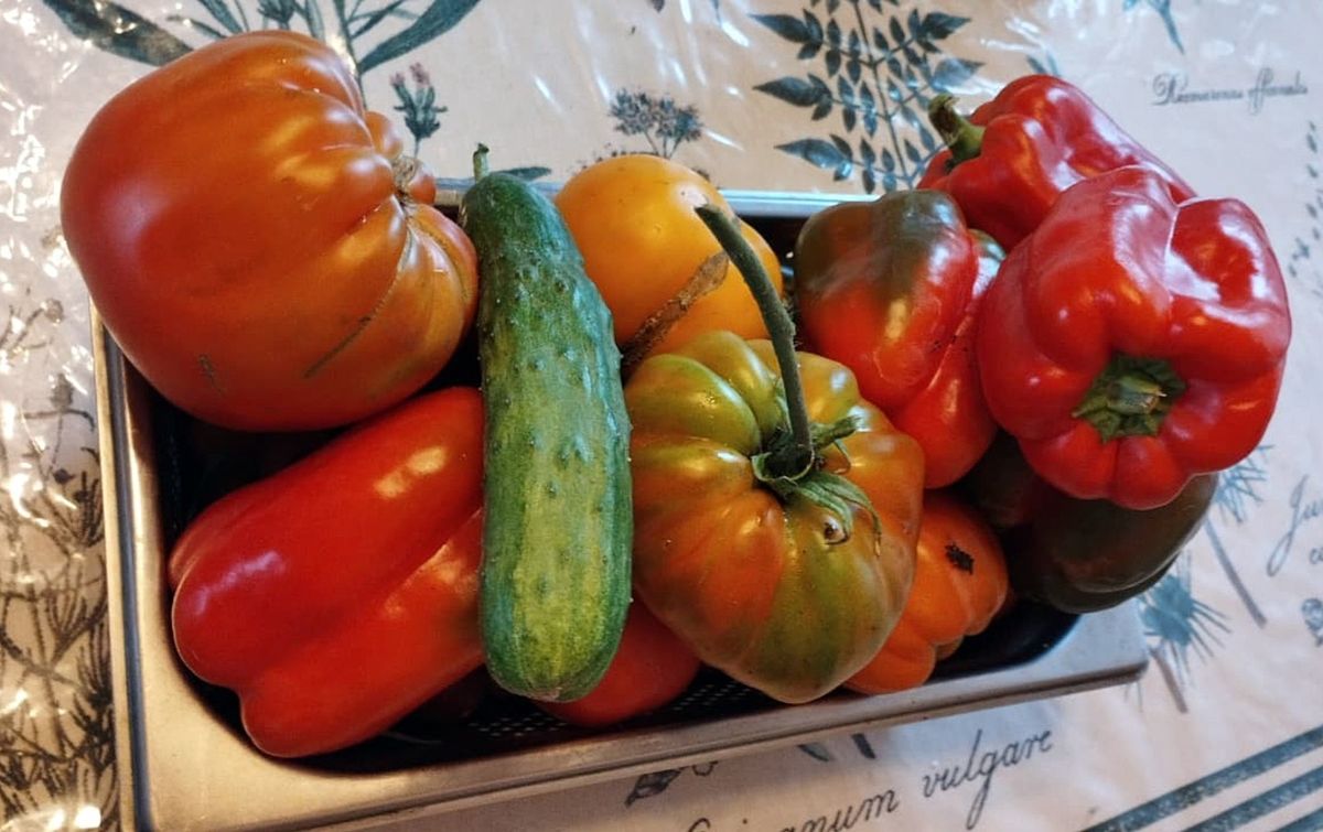 ������ ��� ��������� ���������� �����: ��� �������� �� ������ ����