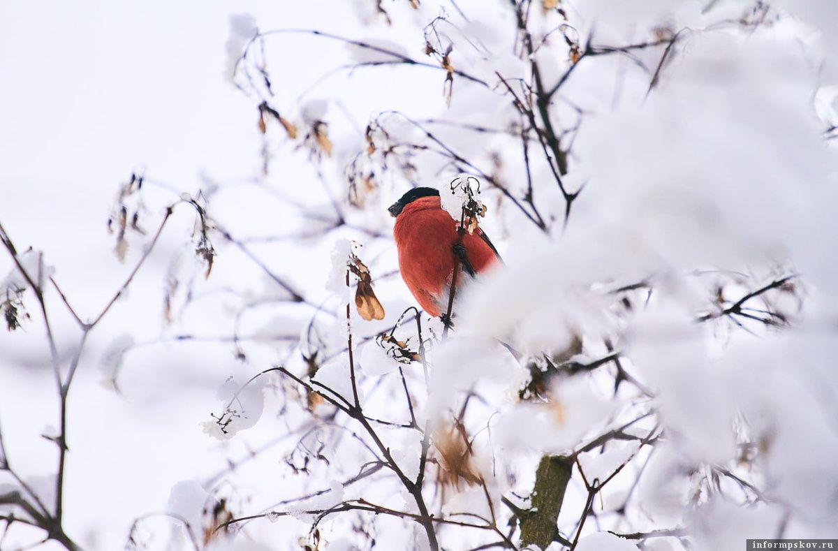 �������� ����: �������� ���������, �� �������� �� ���������