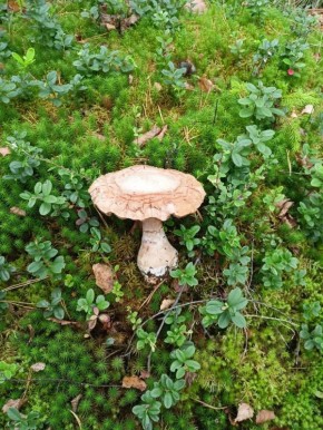 ����������� � ����������� ����: ������� �����