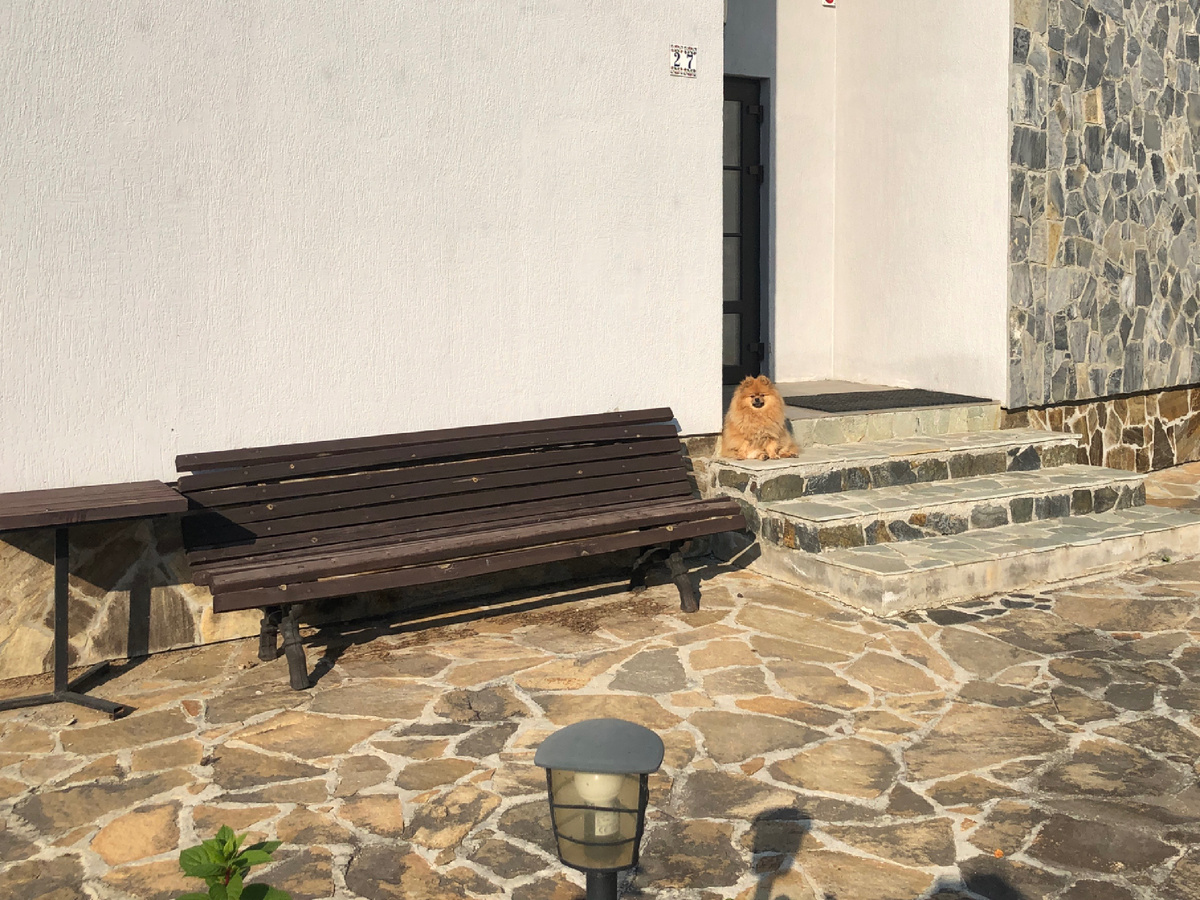 Как создать идеальный сад, отражающий ваши предпочтения