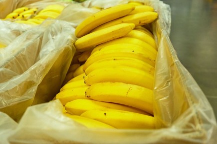 ������� ������������� �������� �������