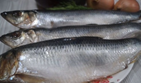 �������, ����������� � �������� ��������: ������� ���������� ������