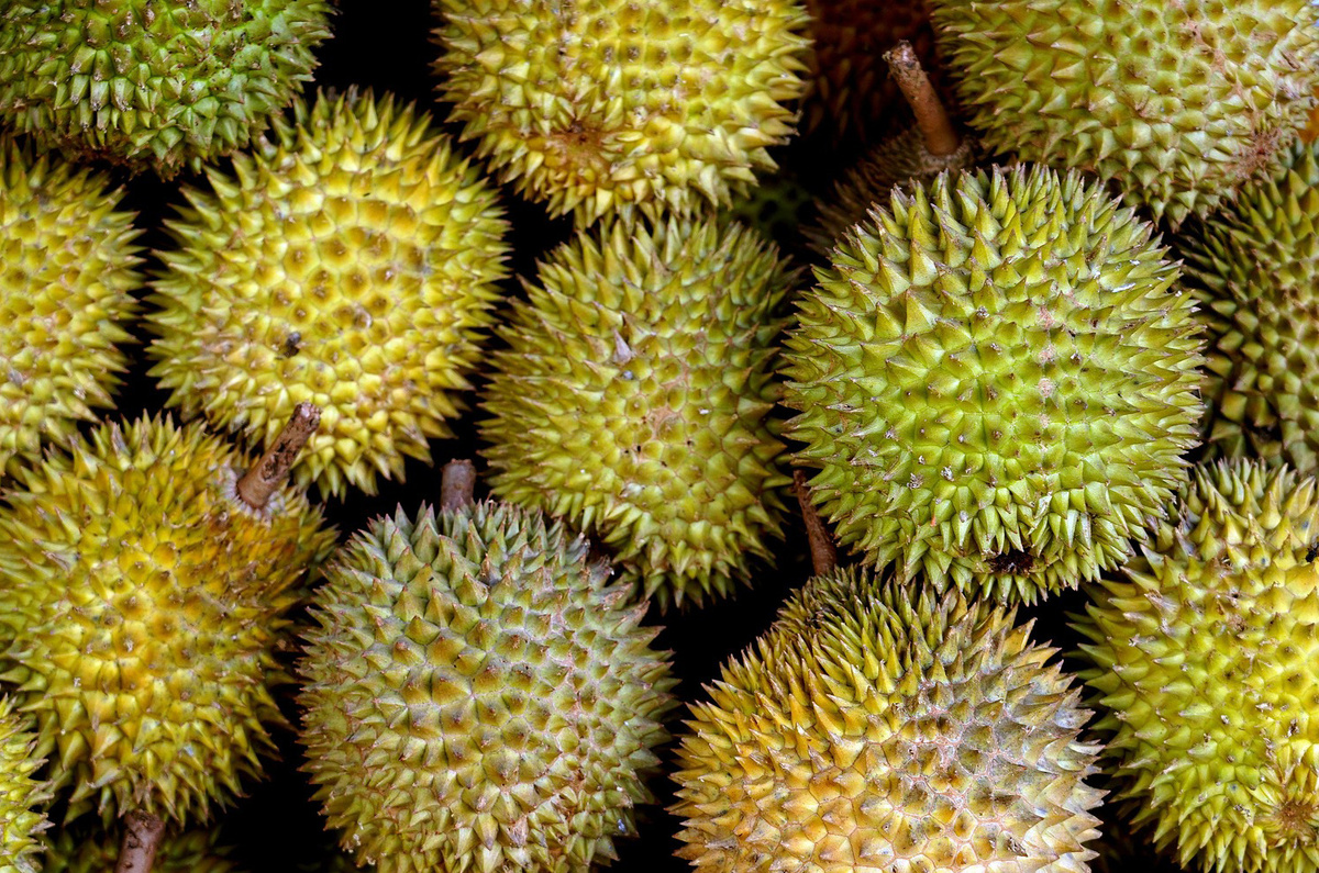 Дуриан: король фруктов с запахом, который разделяет мир