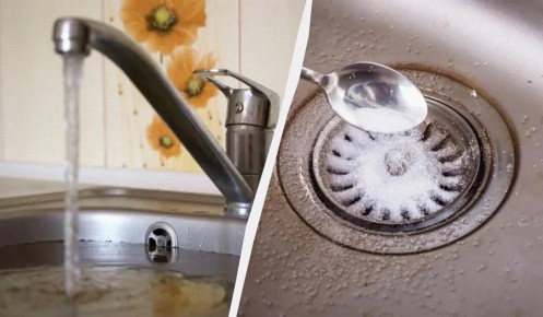 ��� ������ ���������� �������� �� ������: ������� �������