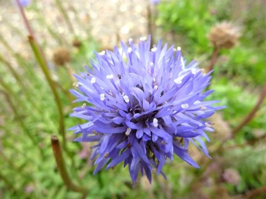 �������� ������: ������������ �������� � ����������