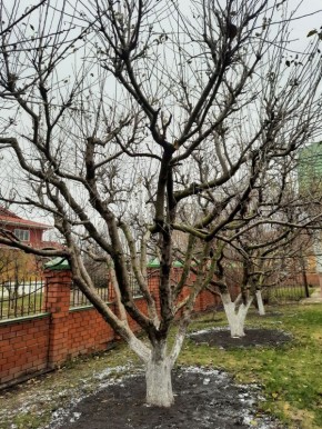 ��� ��������� ������ ������: ��� ��������������� ���������