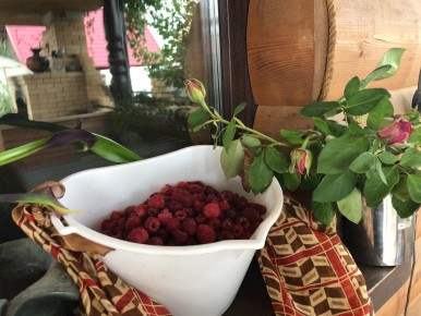 ����� ����� ������ ������: ���� ��� ������ ����