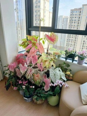 ��� ������� ��������� ��������� �������� ��� ������ �����