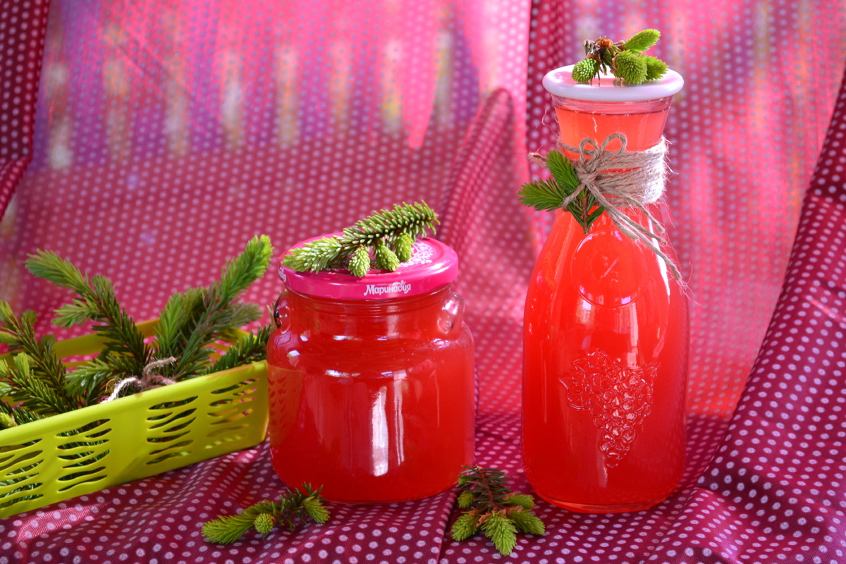 Уникальный еловый сироп: как вернуть вкус детства