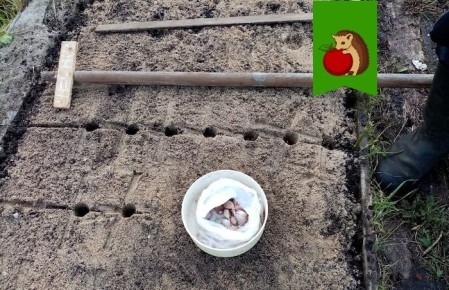 ��� ��������� ������� ����� ��� ������� �������: ������ ������