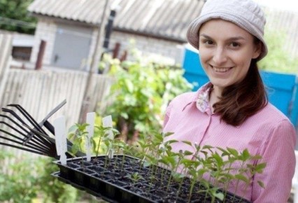 ����������� ����������� ����� �����