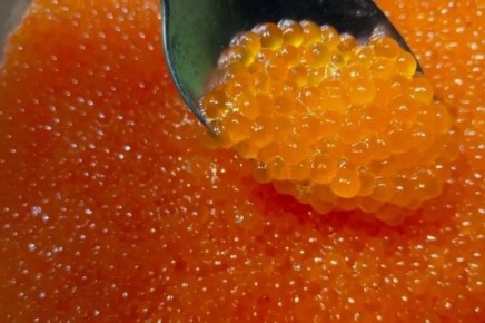 Как выбрать идеальную икру для новогоднего стола