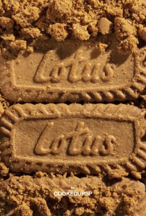 ������� �������� ���������� ������� �������