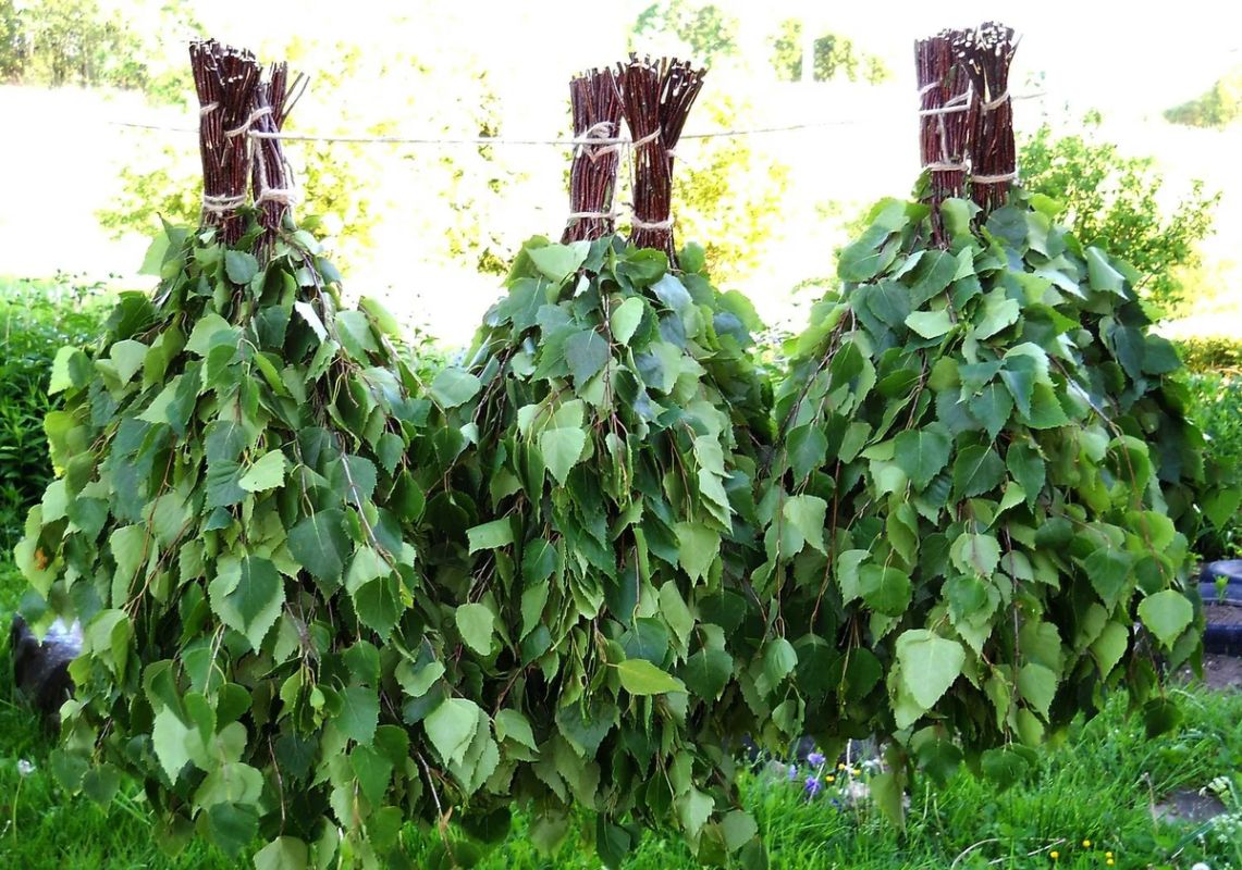 ��� ��� ���� ��������� 80 ����� �� ������� �������: ����������� ������ �� �������