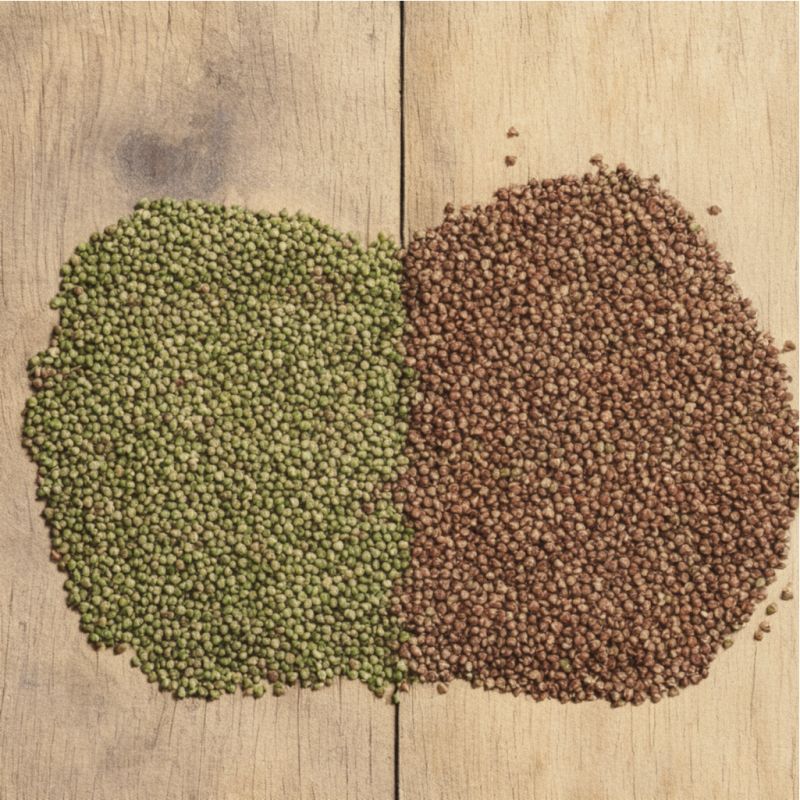 Гречка: зеленая или коричневая — что выбрать?