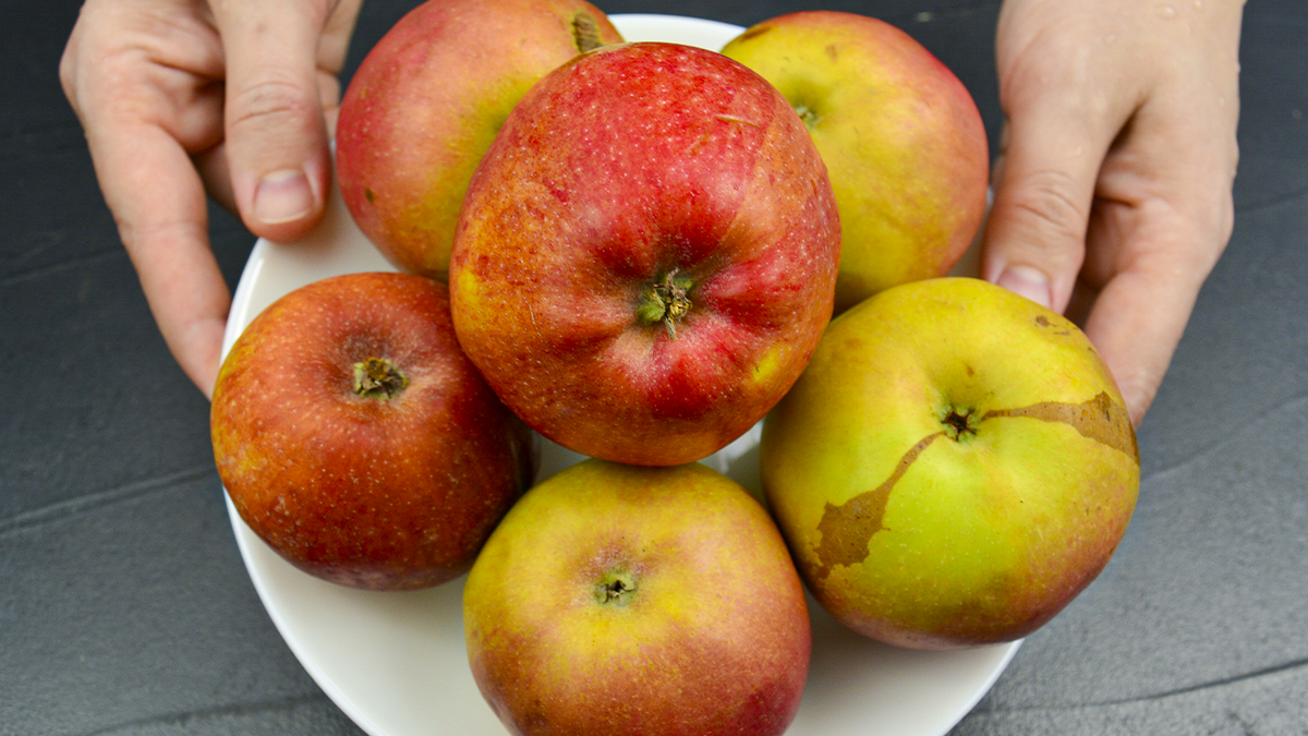 Совершенство утреннего стола: простейший яблочный десерт за 10 минут