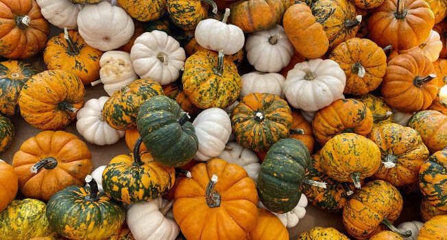 ��� ������� ��������� ����� ��� ������� ����