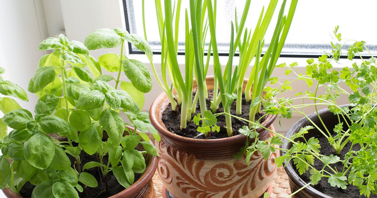 ��� ��������� ������ �� ����������� �����: ������ ��� ����������