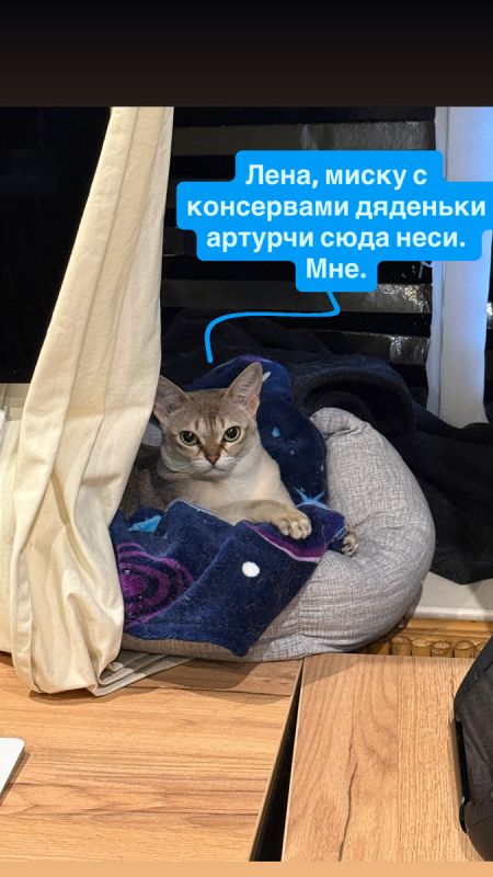 ���������������� ����������� �����