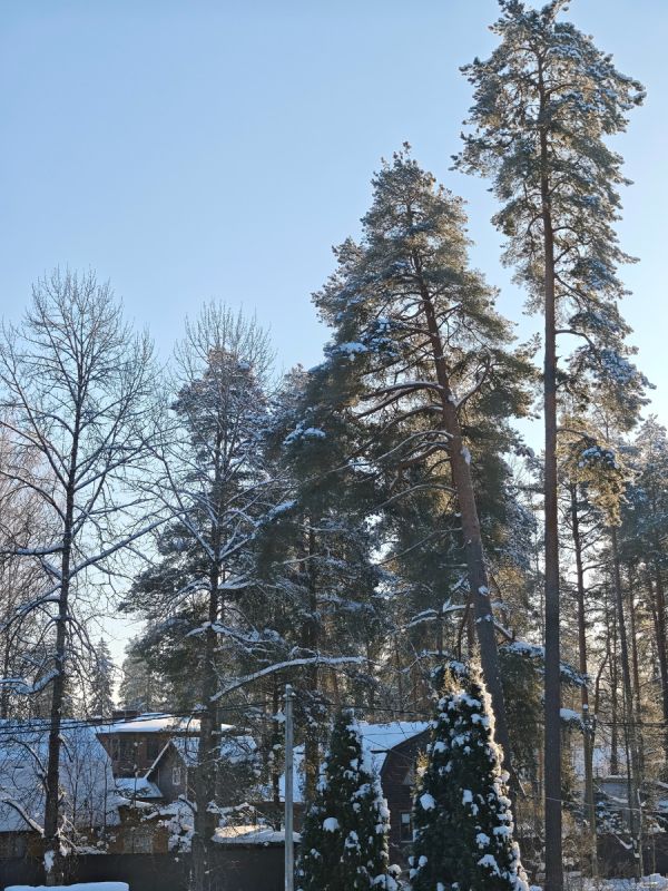 ���� � ���������: ��� �������� ����� � ������������ ������ ���