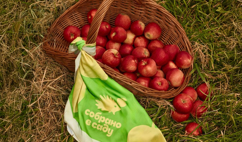 ���� ������: �������� � �����, ������������ ���������