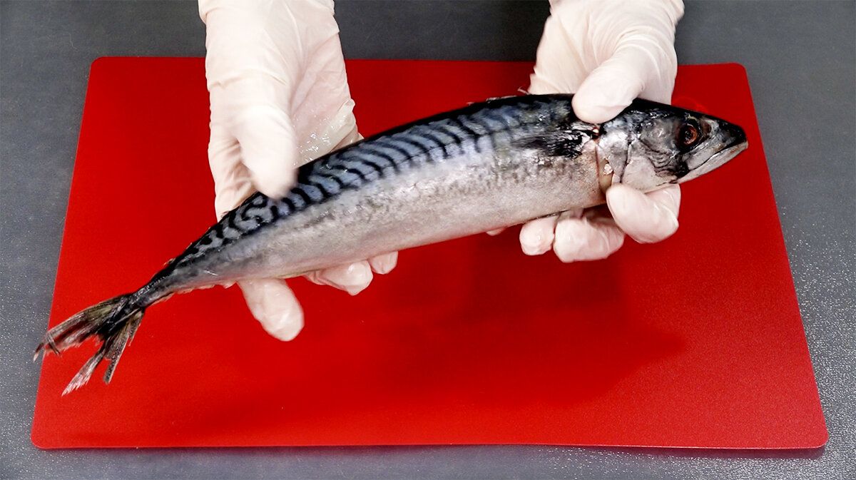 ������� ������ ���������� ��������: ����� 2 ����������� � 5 ����� �� ����������