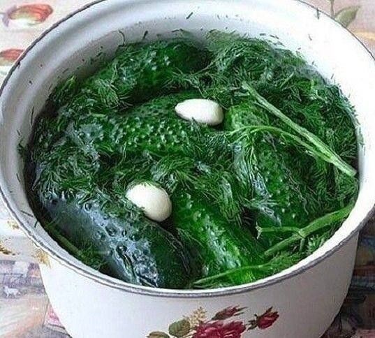 ������������ ����������� �������� �� ����������� ����