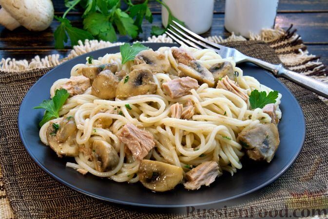 ������������ ����� �� �������: �� ������� �� ��������