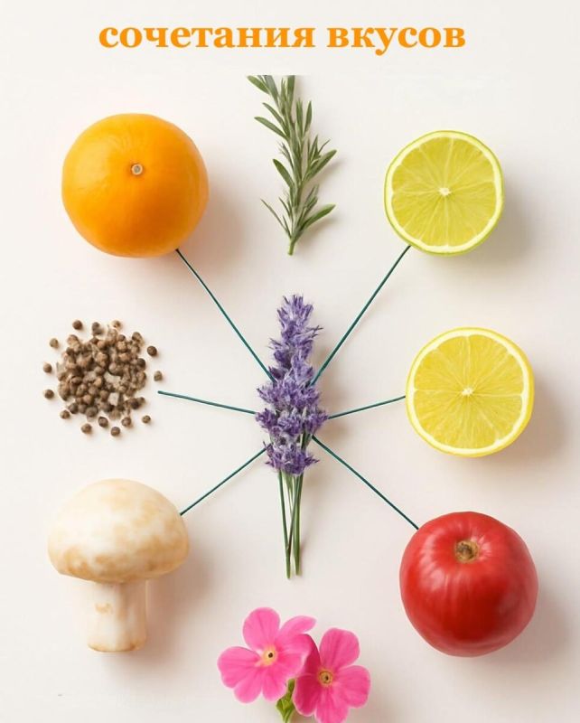 ������������ ��������� ������, ������� ����� �����������