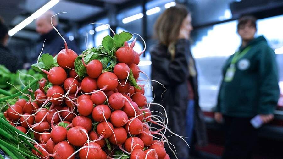 ��� ������ ��������: ������ ��������� �� ���������