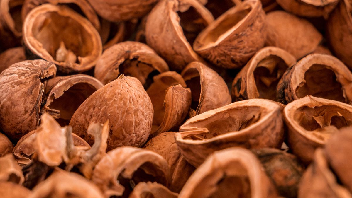 7 ������������� ������ �� ������, ������� �� ����� �� �����