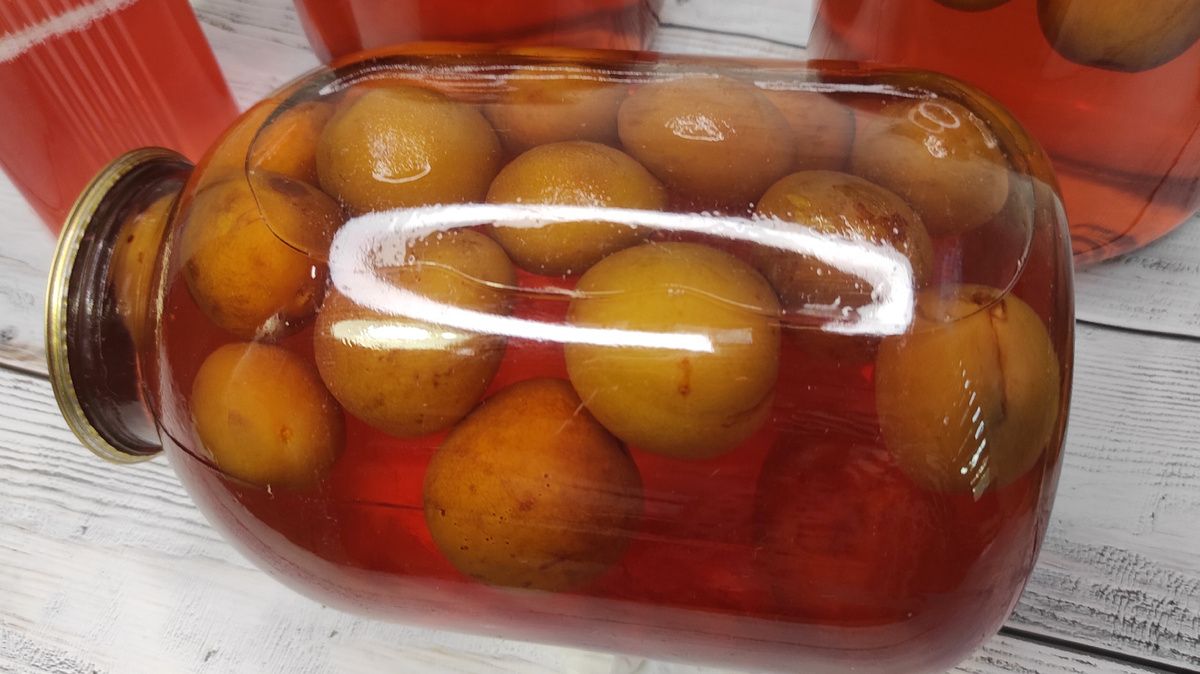 Вкусный компот из сливы: простой рецепт на зиму