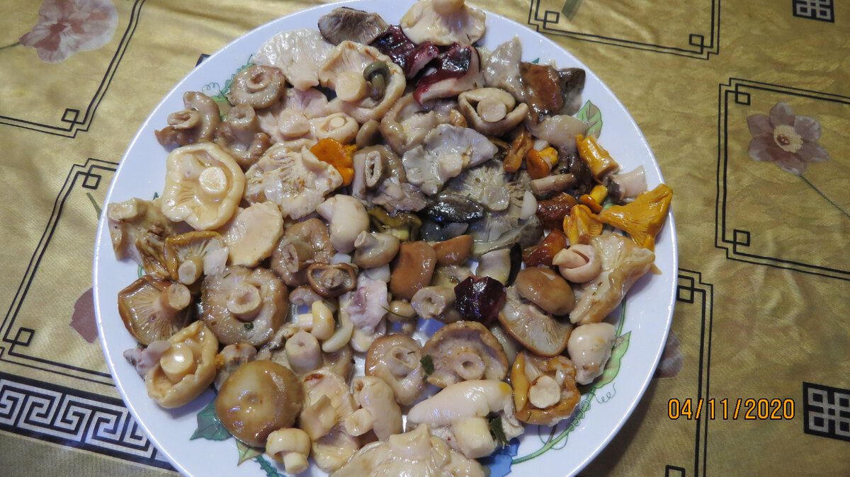 ������ ������� �������: ������� �������� � �������� �������