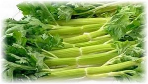 ������� ���������� �������� ��������� � �������� ��������