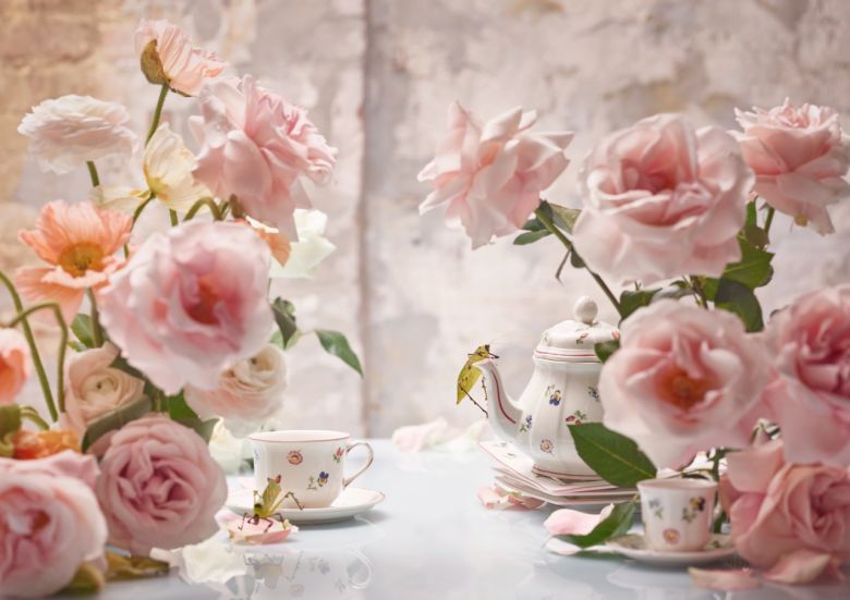 ������� ���� ���� ������ � ����������� Villeroy & Boch