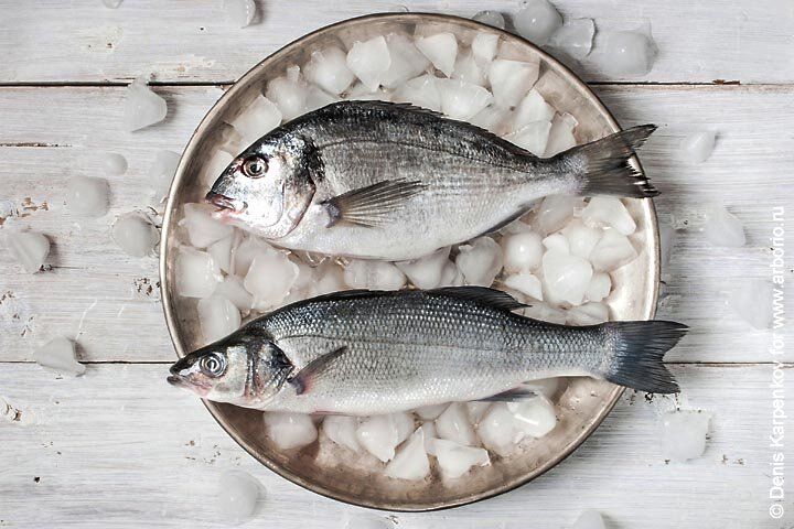 ������� �������� ����: ������ �������� � ����������� ������