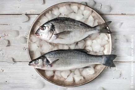 ������� �������� ����: ������ �������� � ����������� ������