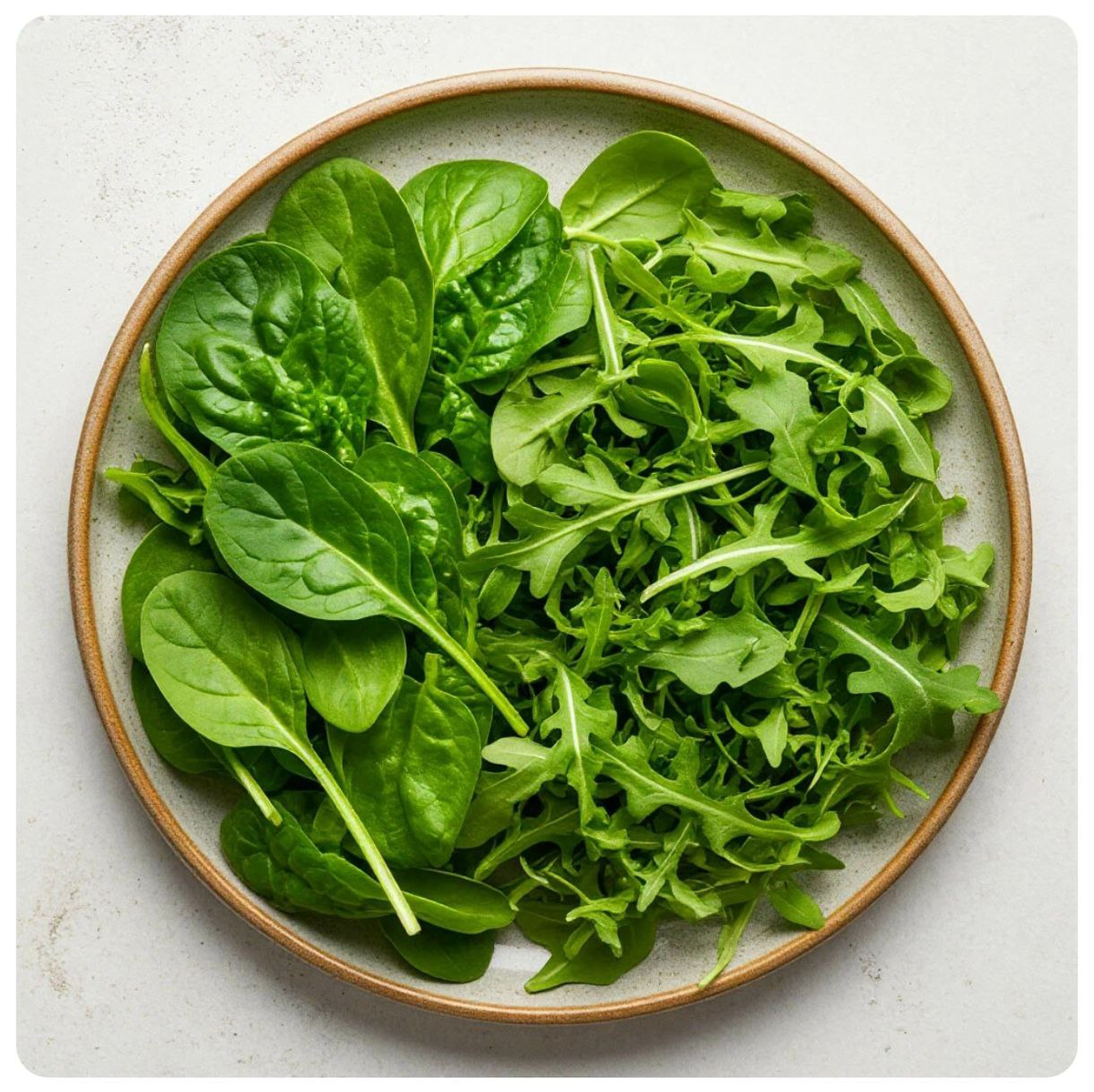 Шпинат или руккола: как сделать правильный выбор
