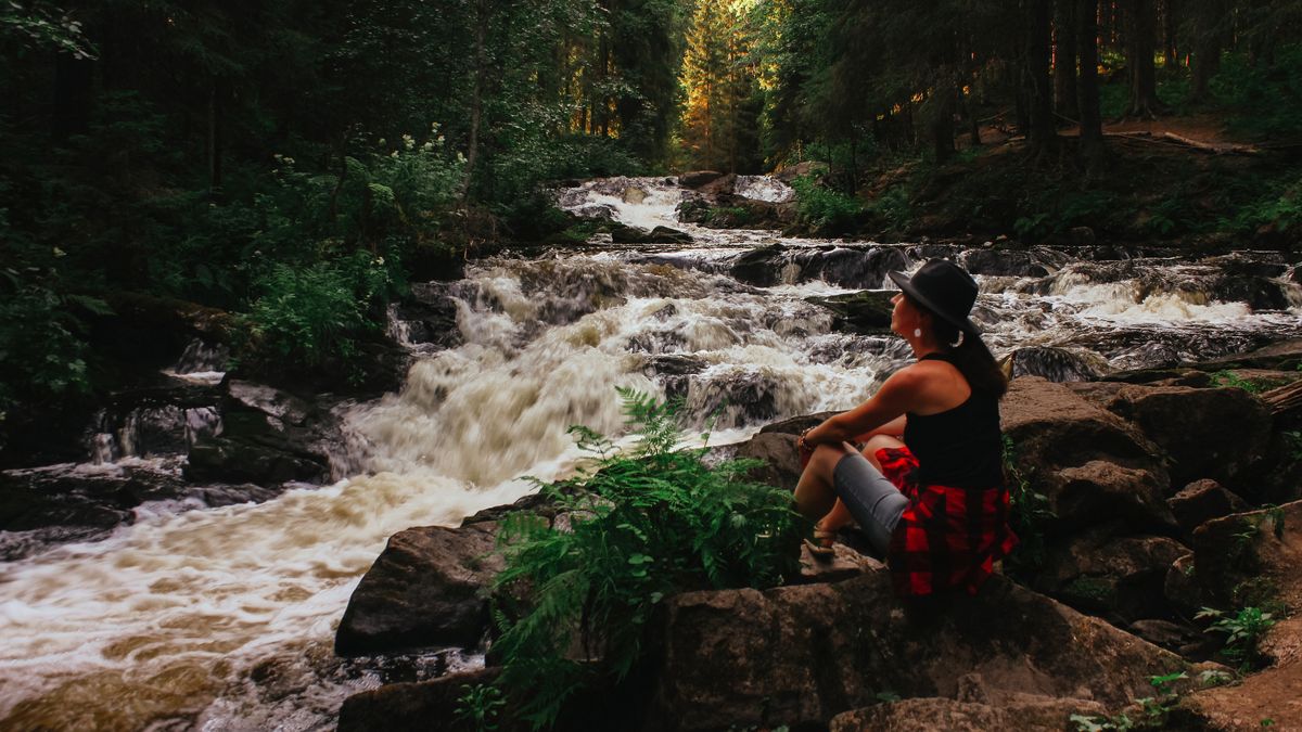 �������� � ��������: ��� �������� ������� �� ������