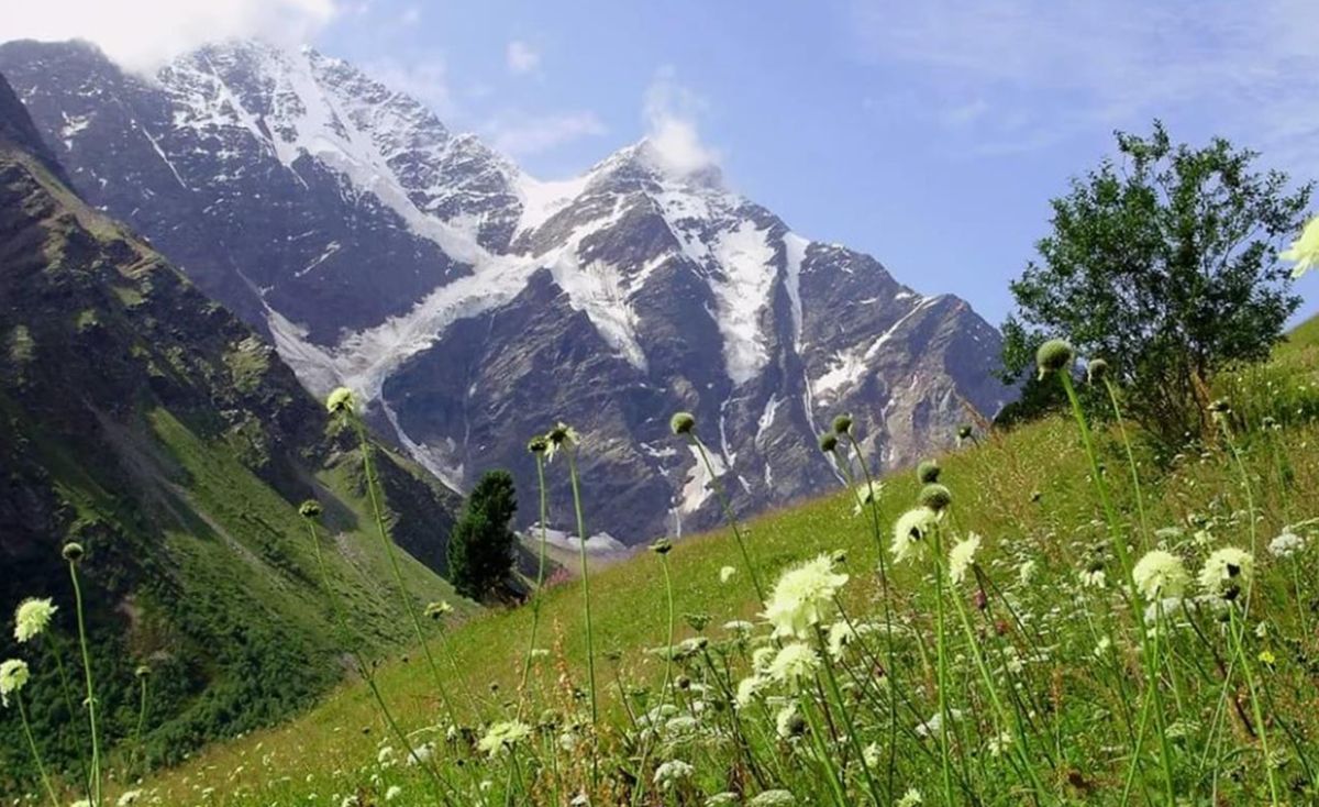 ��� ������� ����� � ���������: ������������ ������ �������