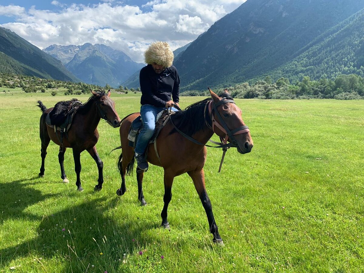 Тост о мудрости старого коня и духе купца