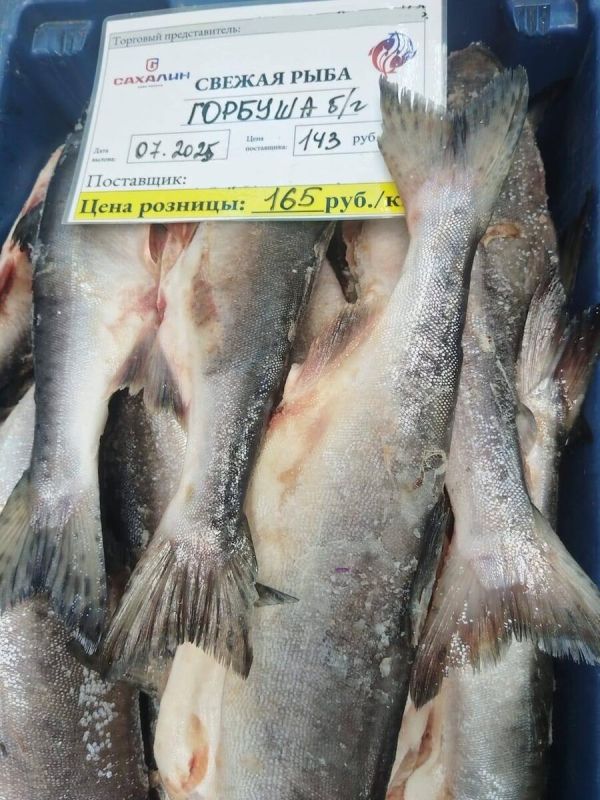 ������ �����������: ������� �� ����������� ���� �� ������������