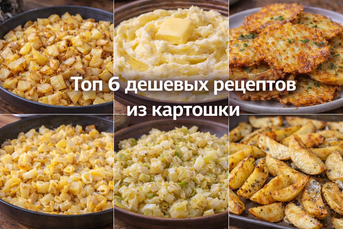 ����� ��������� �������� ������� �������� ��� ���� �����