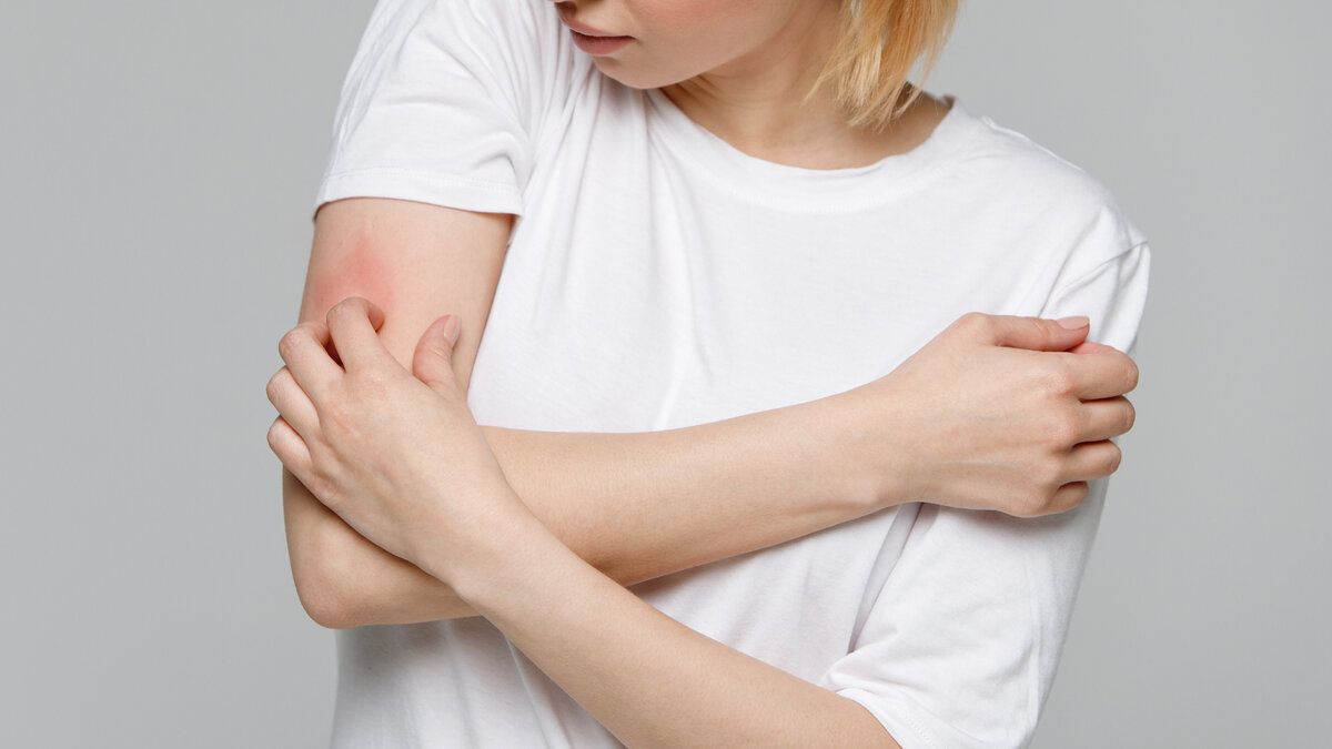 �������: ������ �������, � ������� �� ������ �����������